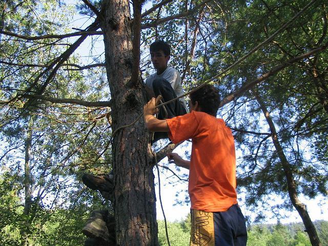 106_0606.JPG