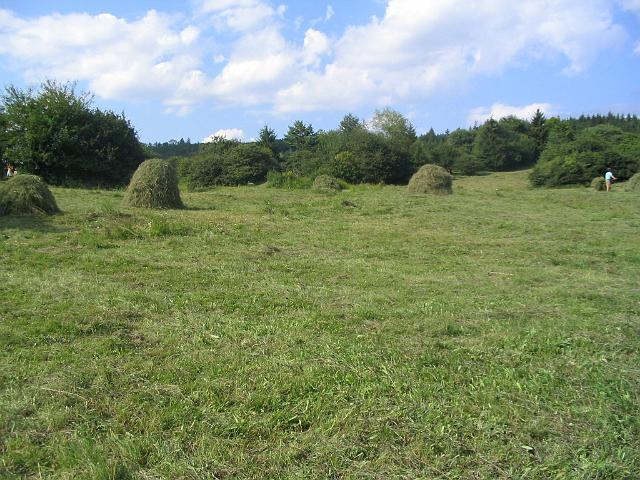 106_0665.JPG