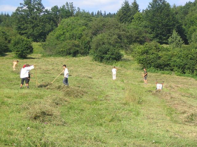 106_0666.JPG